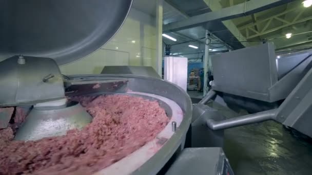 Мясо режут на заводе . — стоковое видео
