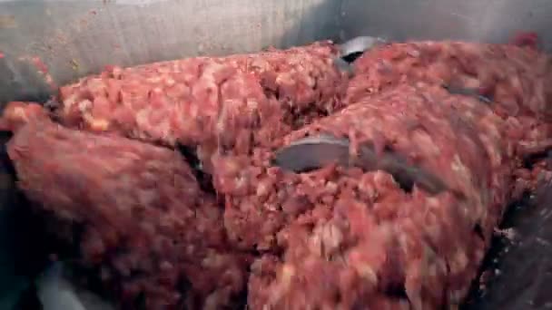 Grande tritacarne un sacco di carne . — Video Stock