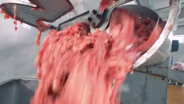 La carne tritata proviene da un tritacarne . — Video Stock