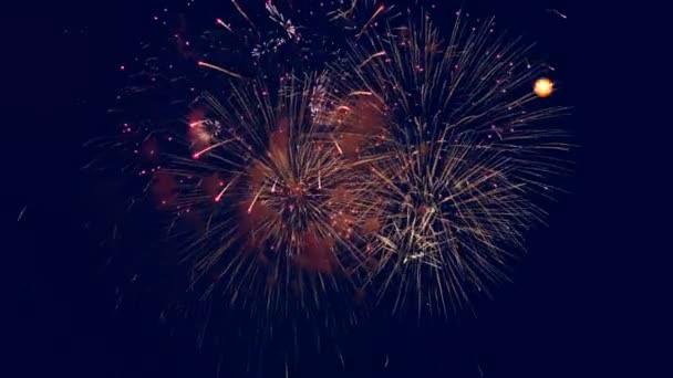 Los fuegos artificiales vívidos se iluminan en el cielo en la noche de celebración. 4K . — Vídeo de stock