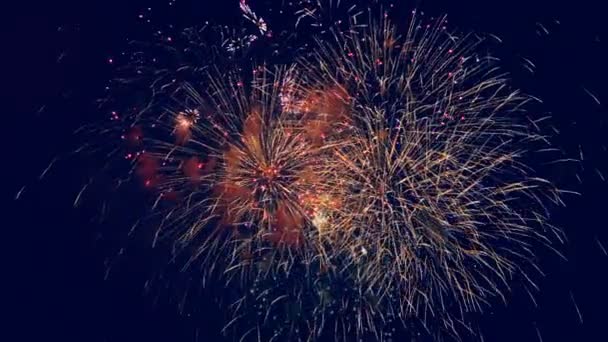 Prachtige vuurwerk weergegeven in een donkere hemel. 4k. — Stockvideo