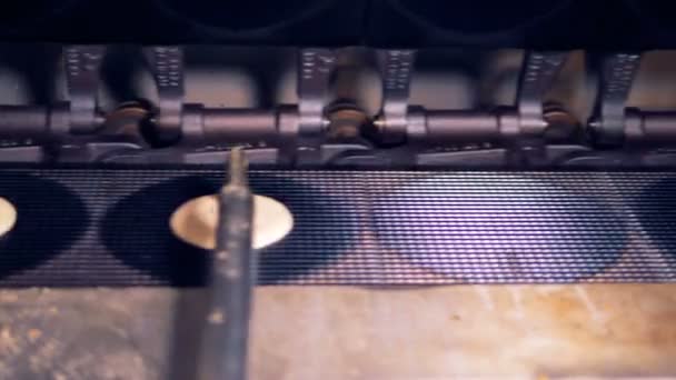 Creamy substance is being poured onto the conveyor belt in exact circles — Stock Video