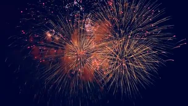 Lebhaftes Feuerwerk am dunklen Himmel. — Stockvideo