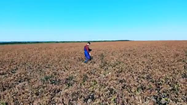 죽고 건조 한 농경지입니다. 농학자는 병든 식물들이 있는 밭을 조사하고 있습니다 — 비디오