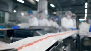 Paketlenmiş yengeç çubukları taşıyan taşıyıcı bant