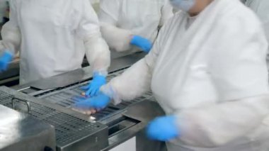 Endüstriyel çalışanlar balık atıştırmalıkları paketliyor.