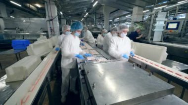 Yengeç paketleyen işçilerin olduğu bir fabrika ünitesi. Koruyucu giysili fabrika işçileri yiyecek paketliyor..