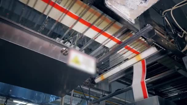 Layers of crab sticks are moving along the transporters — Stock Footage Layers of crab sticks are moving along the transporters Stock Footage