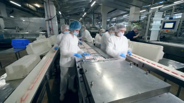 Lebensmittel Fabrik Einheit mit Arbeitern beim Verpacken von Krabbenstäbchen. Fabrikarbeiter in Schutzkleidung beim Verpacken von Lebensmitteln. — Stockvideo