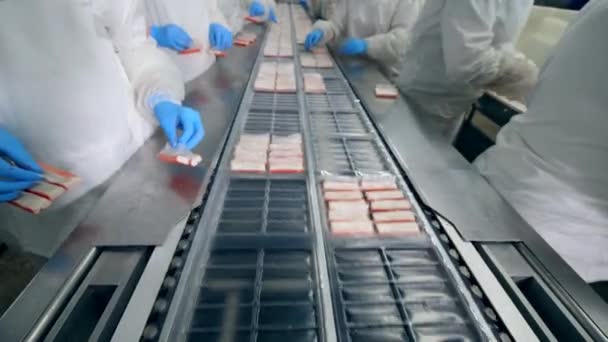 Industrial employees are putting crab sticks into plastic plates — Stock Video