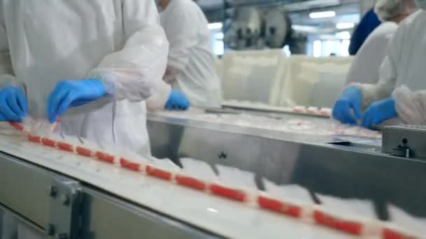 Relocation process of crab sticks held at the factory by factory workers. — Stock Footage Relocation process of crab sticks held at the factory by factory workers. Stock Video