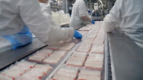Batches of crab sticks are moving along the transporter — Stock Video