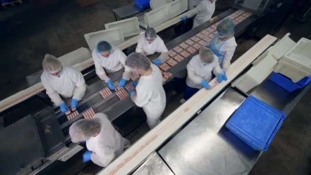 Top view of factory employees packaging fish snacks into plastic. Factory workers in protective clothing packing food. — Stock Video