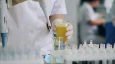 Laboratuvar çalışanı sarı sıvıyı tüplere boşaltıyor..