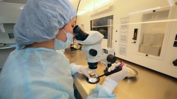 Trabajador del hospital utiliza microscopio mientras trabaja con muestras . — Vídeos de Stock
