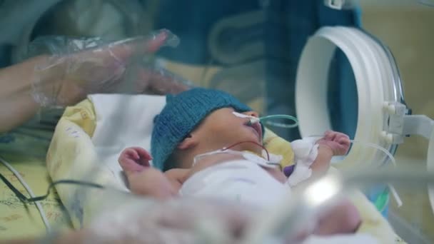Enfermera comprueba bebé en incubadora infantil . — Vídeos de Stock