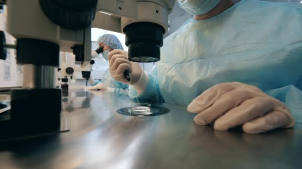 Persone che lavorano in laboratorio, utilizzando microscopi . — Video Stock