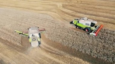 Tehdit makineleri tarlada çavdar topluyor.