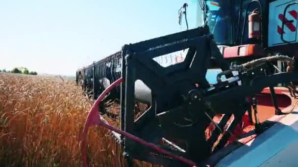 Carretel da colheitadeira em movimento em um close — Vídeo de Stock