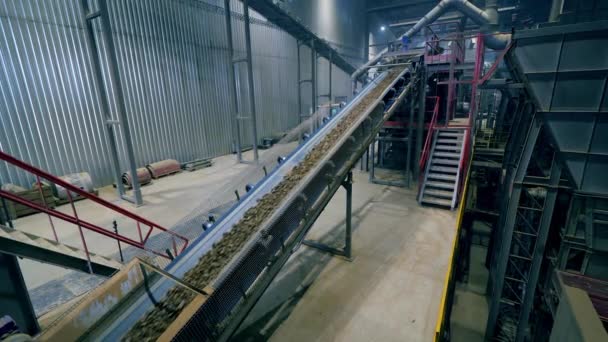 Rubble sorted on a conveyor at a plant. — Stock Video