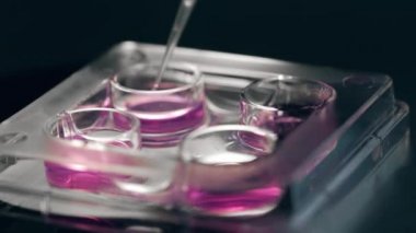 Bir pipetle taşınan kimyasal maddeleri kapatın.