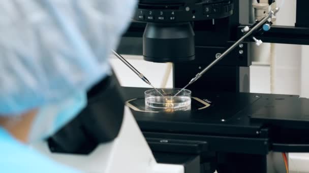 Éléments de microscope pendant le processus d'analyse 