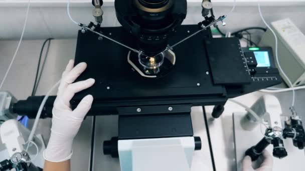 Trabajador de laboratorio está regulando un microscopio durante la investigación — Vídeo de stock