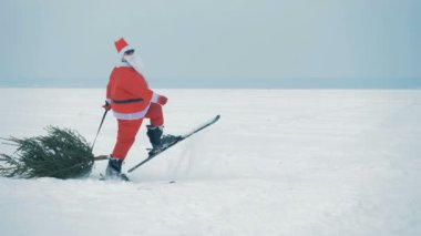 Noel Baba kayak yapıyor ve bir noel ağacını sürüklüyor..