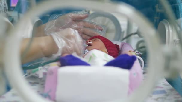 간호사가 청진기로 아기의 폐를 듣고 있다 — 비디오