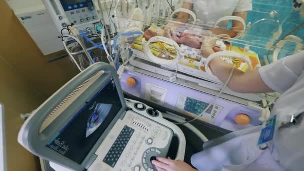 Dítě v inkubátoru je na ultrazvuku — Stock video