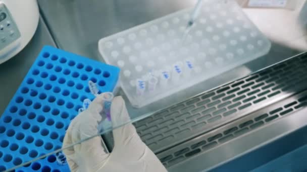 Lab worker is filling test tubes with chemicals — Stock Video