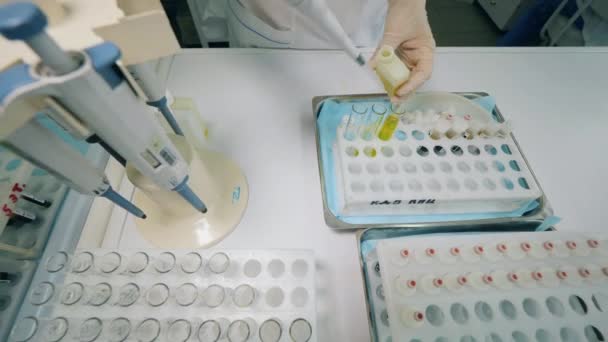 Laboratório especialista está enchendo tubos de ensaio com substância amarela — Vídeo de Stock