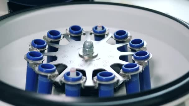 Analisador químico está sendo lançado com tubos de ensaio nele — Vídeo de Stock