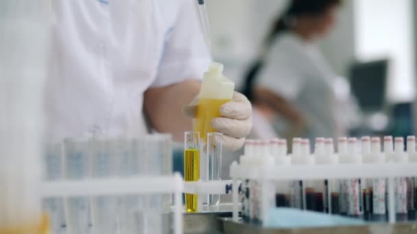 Yellow substance is getting poured into test tubes — Stock Video