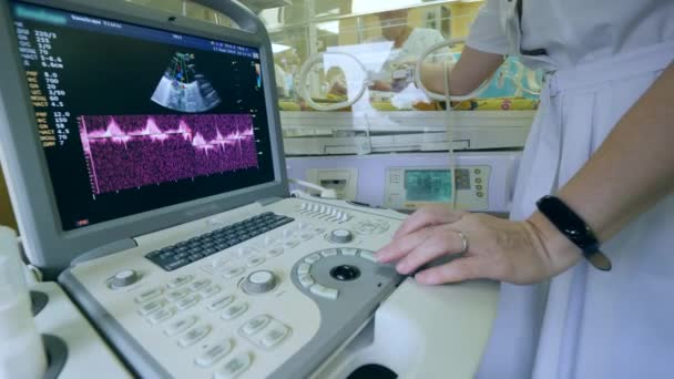 Vrouwelijke arts doet echografie van een pasgeboren baby — Stockvideo