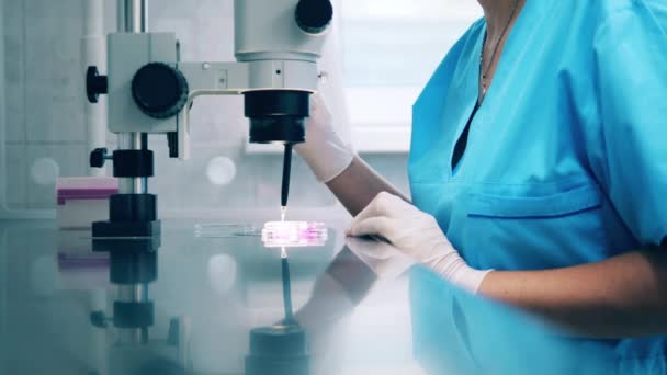 Женщина-лаборантка проводит исследование под микроскопом — стоковое видео