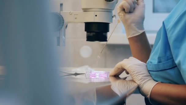 Mikroskop altında tutulan kimyasal araştırmalar, laboratuvarda çalışan bilim adamı.. — Stok video