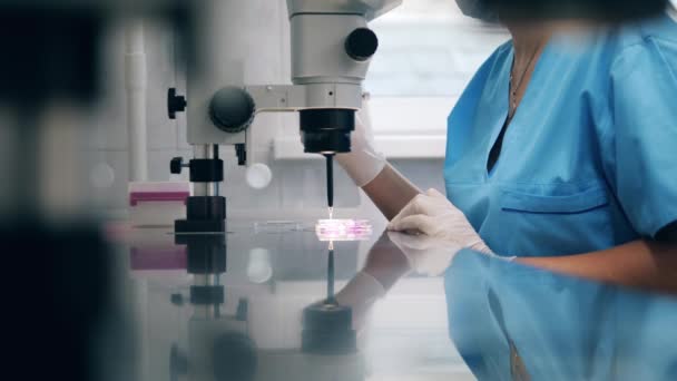 Tıbbi örnekler bir kadın bilim çalışanı tarafından test ediliyor. — Stok video