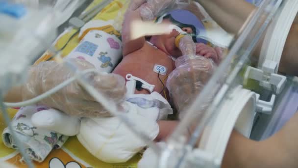 Kliniekwerkers controleren baby in couveuse. — Stockvideo