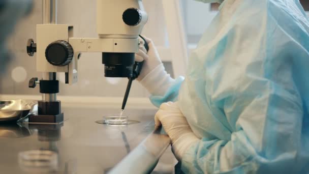 Женщина использует микроскоп, когда смотрит на образцы . — стоковое видео