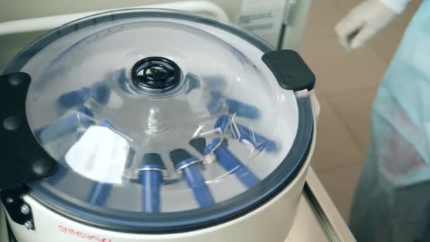 Un trabajador de laboratorio utiliza la máquina mientras comprueba muestras . — Vídeos de Stock