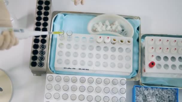 Person pours yellow liquid into test tubes. — Stock Video