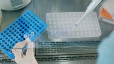 Laboratuvar çalışanı numuneleri tepsiye koyar..