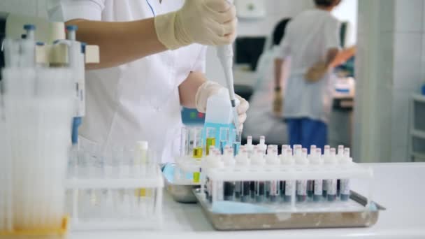 Femme travaille dans un laboratoire hospitalier avec des échantillons . — Video