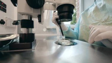 İnsan laboratuvarda mikroskop ile çalışır.