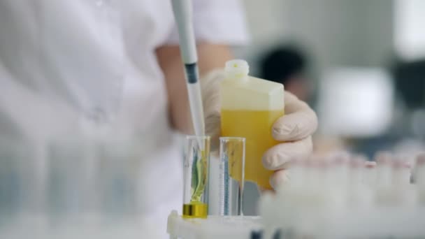 一位化验室的工作人员用管道把液体倒进管子里. — 图库视频影像