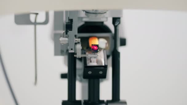 Оптическое устройство для контроля зрения, направленное на камеру — стоковое видео