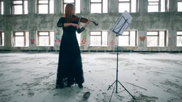 Professionele violist treedt alleen op in een geruïneerde kamer. — Stockvideo