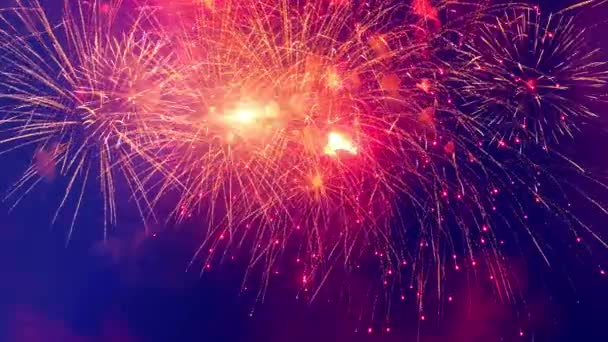 Le ciel nocturne et les feux d'artifice festifs — Video