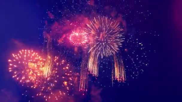 Élénk tűzijáték villanások éjszaka — Stock videók